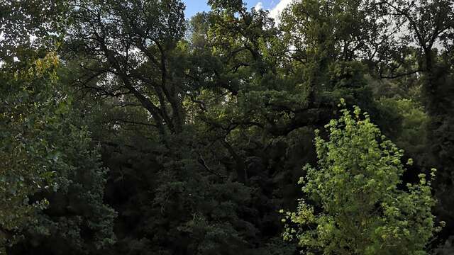 Initiation à la marche nordique - 1/2 journée