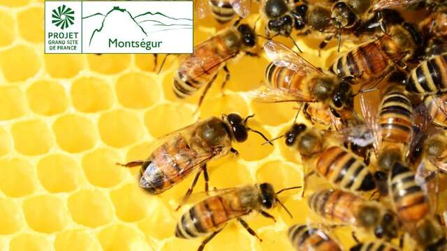 Journée mondiale des abeilles