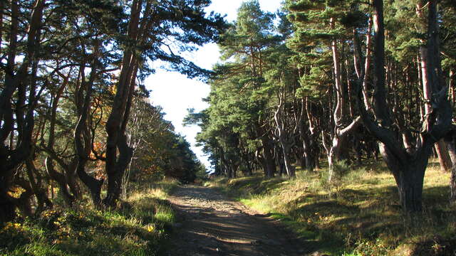 Puy Granet - Maure