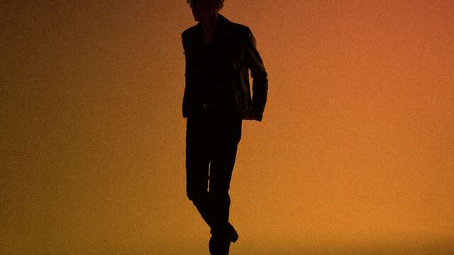 Concert: Alain Chamfort