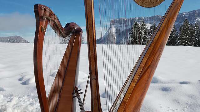 Concert de harpe et violon