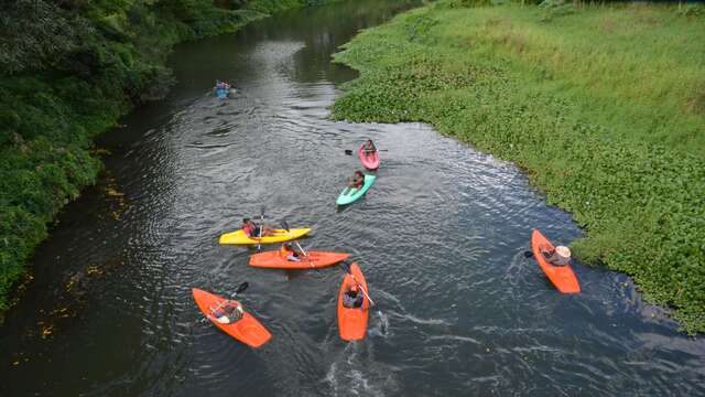 Rivière de La Foa