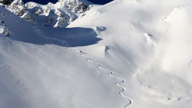 Alpine Experience