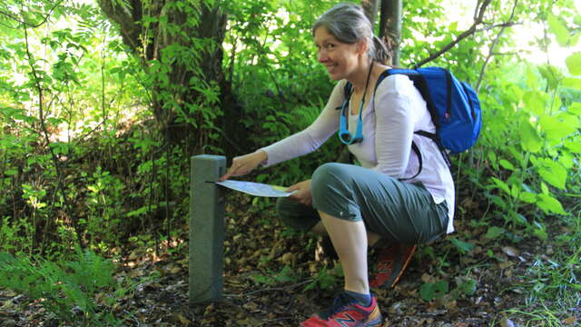 Parcours d'Orientation de Vallorcine
