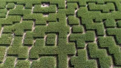 Aventures dans le Popcorn Labyrinthe