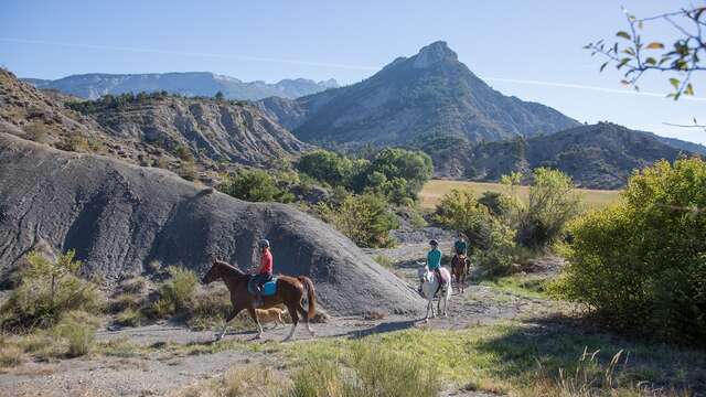 Horseback riding or mountain biking?