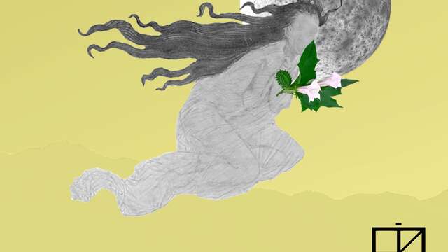 Atelier : Sur les traces des sorcières, de l'herboristerie à la sorcellerie
