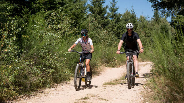 Circuit VTT - Par vignes et par monts