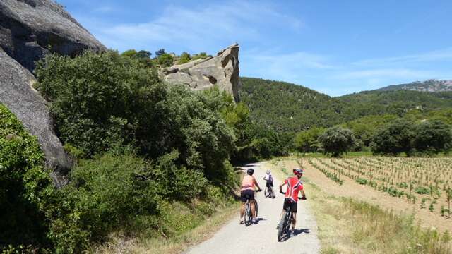 Beaumes-de-Venise, its vineyards and terroirs. Guided bike tour