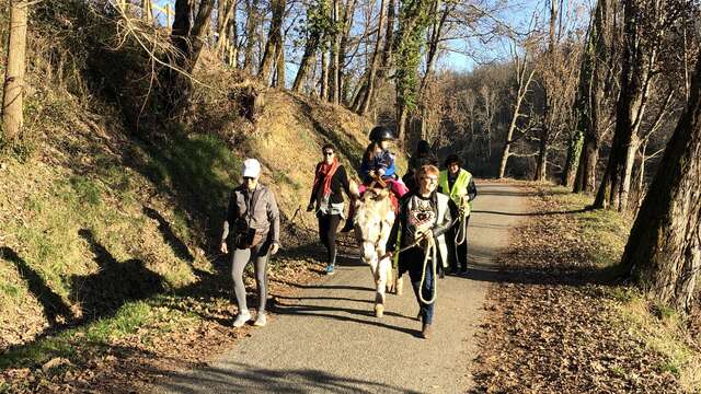 Balade aux couleurs de l'hiver