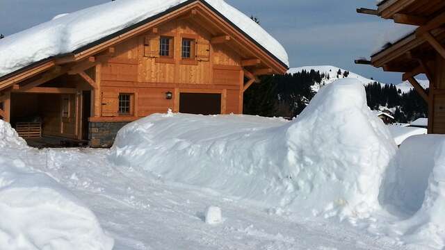 Chalet Le Grenier d'Augustin II - 90 m² - n°800