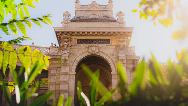 Journées Européennes du Patrimoine au Muséum d'Histoire Naturelle de Marseille (MHNM)