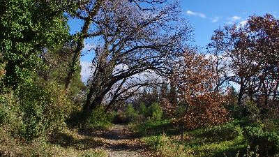 La Via Domitia à St Rémy de Provence
