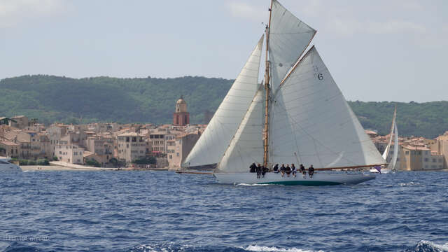 Les Dames de Saint-Tropez - Régate