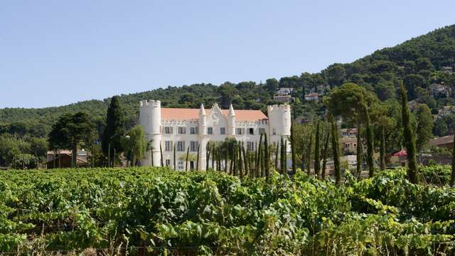 Domaine viticole Chateau de Carqueiranne