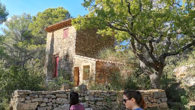 Cezanne walk - from the pine forest to the Bibemus quarries