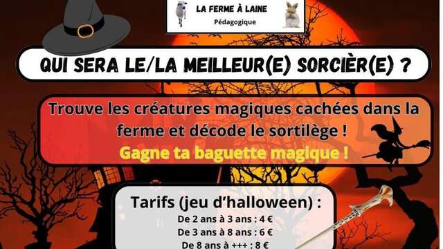 Halloween : Qui sera le ou la meilleur(e) sorcièr(e) ?
