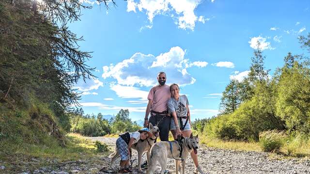 Cani-rando - Travel Dog