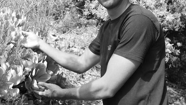 Découverte du Domaine du Rayol et du jardin des Méditerranées