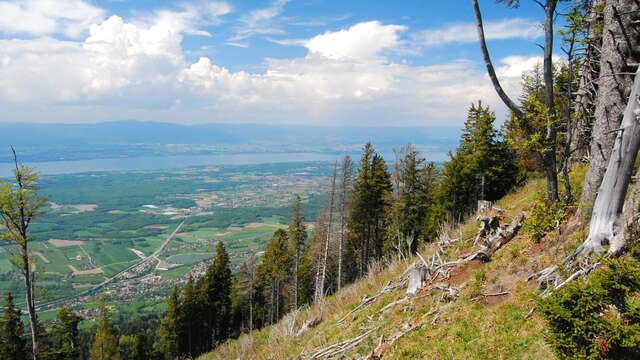 Guided walk to 'Le Signal des Voirons'