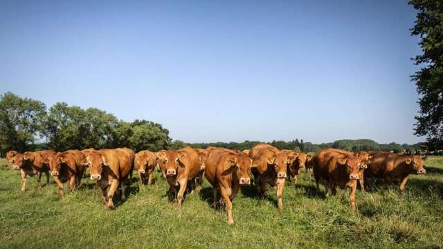 Visite de la ferme de Lusignat