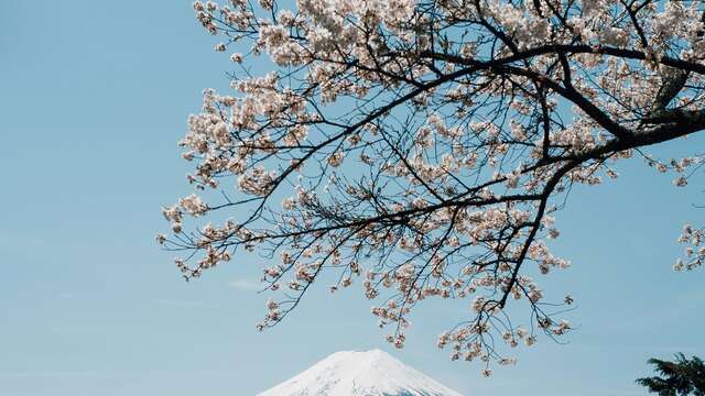 Conference - Mount Fuji: a mountain of a thousand faces, between religious heritage and external representations - Saint-Gervais sous les Sakuras