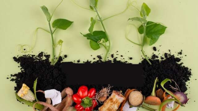 Ateliers récup : recyclage tout en couleurs