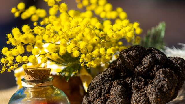 Le marché "Truffe en fête" à Grimaud