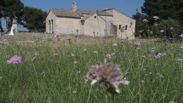 Bouches-du-Rhône en Paysages - Noves Les collines et la plaine du Comtat à vélo