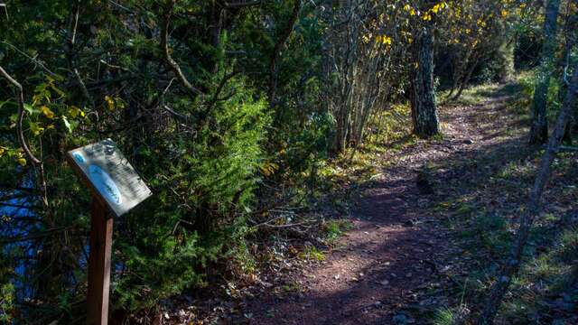 Promenade : Le Lac du Rioutard - Saint-Paul-en-Forêt