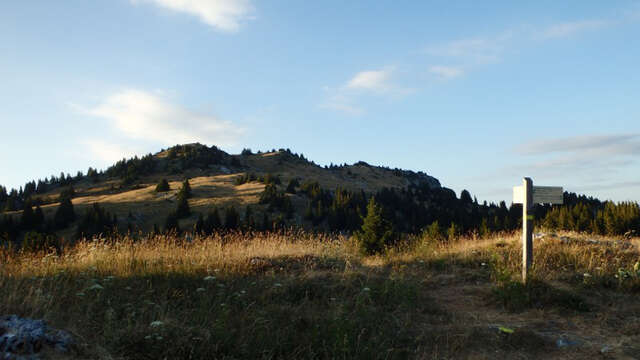 Circuit Trail 3 - Boucle de Nifflon