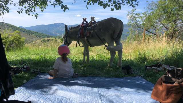 Camping à la ferme Bamboul'âne