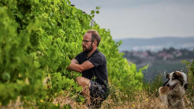 Le domaine des Bardes