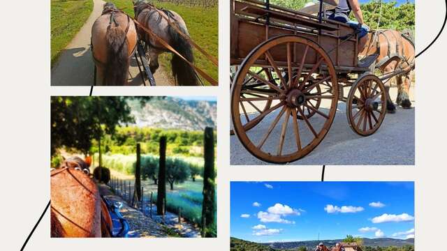 Balade en calèche dans les vignes avec les Traits du Lub
