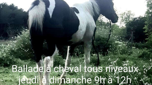 Les écuries du Baou