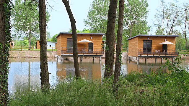 Chalets sur pilotis - Domaine de Veauchette en Forez