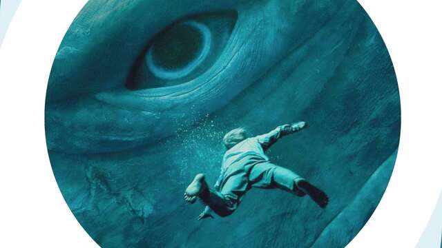 Dans l'œil de la baleine