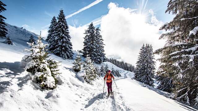 Itinéraire raquettes - Pas de Morgins