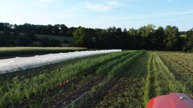 La ferme du petit tracteur
