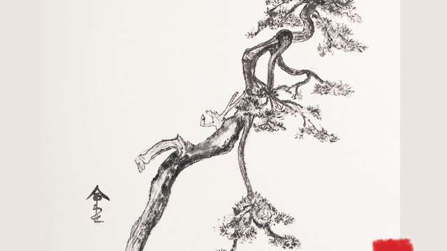 Exposition peinture Sonia STELLA