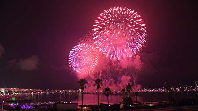 Feu d'artifice du Nouvel An