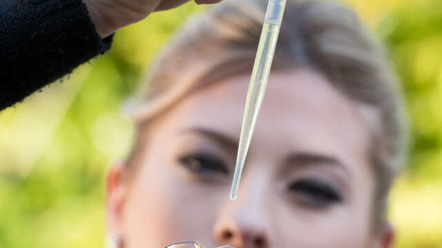 Domaine de la Dame: visita, raccolta di Rose Centifolia e mini laboratorio di profumi