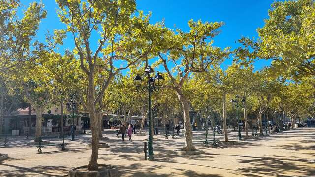 Tournoi de petanques PAD Saint-Tropez 2026