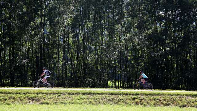 Boucle VTT : la Plaine et le village des Vallons