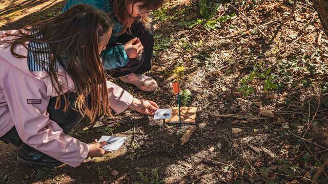 Gravière aux Oiseaux - Petits Trappeurs