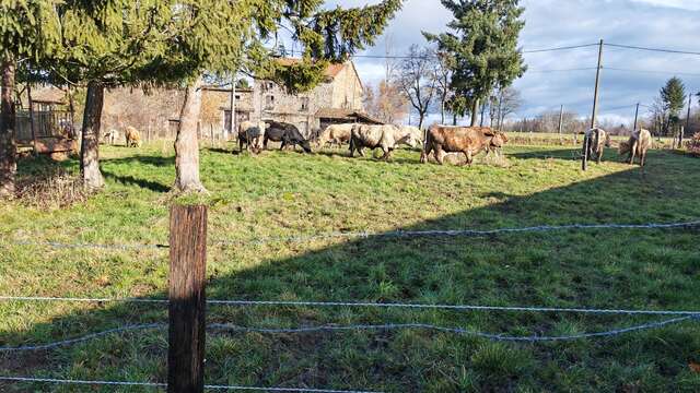 Balade à la Ferme "Gaec de la Blanchette"