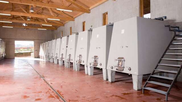 Domaine des Pothiers