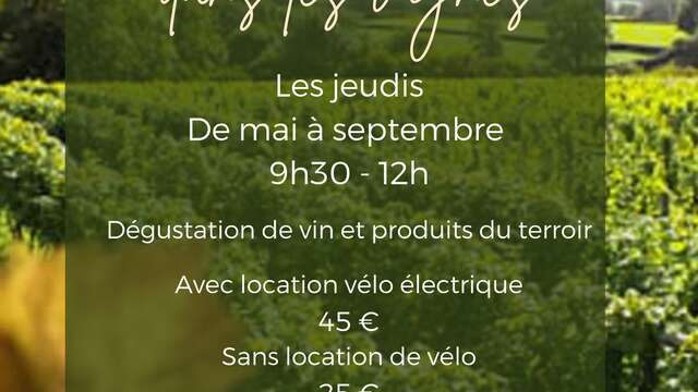 Balade guidée en vélo dans les vignes - Cave la Romaine