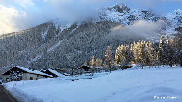 Promenades découvertes + mini-photoshoot
