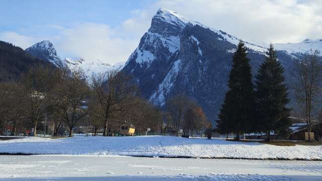 Mobile Sauna: Wärme Des Waldes